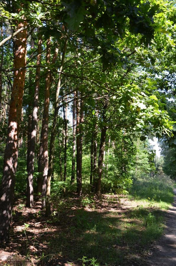 Agroturystyka Czekaj przy Suntago Lublinow Zewnętrze zdjęcie